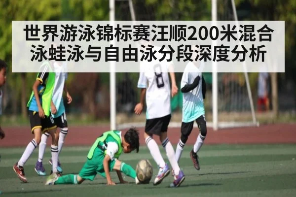 世界游泳锦标赛汪顺200米混合泳蛙泳与自由泳分段深度分析